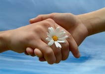 stockfoto_31453_s__1_